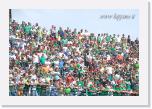 DSC_0168 avellino foggia finale play off i tifosi * Foto:Franco D'Addona * 746 x 500 * (175KB)